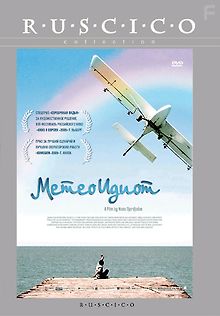 Метеоидиот