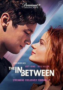 Между небом и землёй