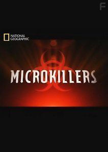 Микроскопические убийцы – Туберкулёз