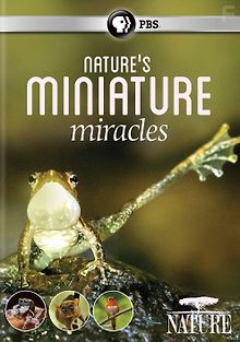 Миниатюрные чудеса