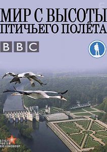 Мир с высоты птичьего полета