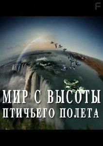 Мир с высоты птичьего полета