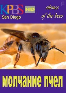 Молчание пчел