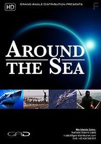 Море вокруг