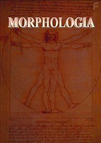 Морфология