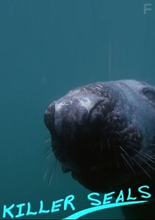 Морские котики-убийцы