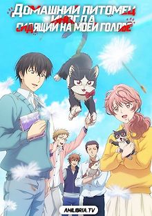 Мой сосед у меня на коленях, а иногда на голове