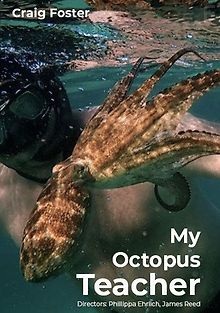 Мой учитель – осьминог