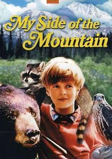 Моя сторона горы