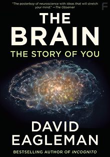 Мозг с Дэвидом Иглманом