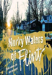 Мутные воды Флинта