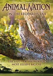 На хвосте Леопарда