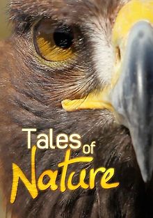 Наблюдая за природой