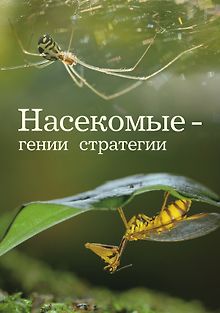 Насекомые — гении стратегии