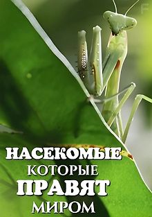 Насекомые, которые правят миром