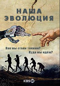 Наша эволюция