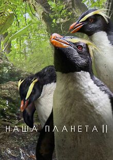 Наша планета