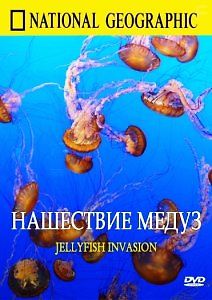 Нашествие медуз