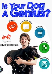 Насколько умна Ваша собака?