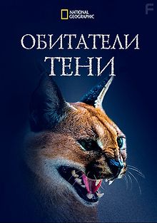 Обитатели тени