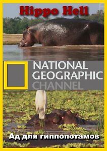 National Geographic. Ад для гиппопотамов