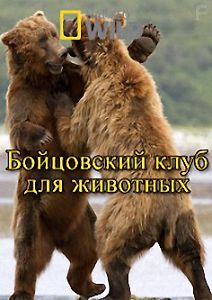 National Geographic: Бойцовский клуб для животных: Гризли, гуанако, жуки