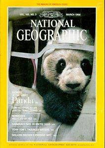 National Geographic: Гигантская панда