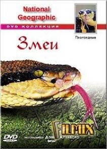 National Geographic: Гремучие змеи