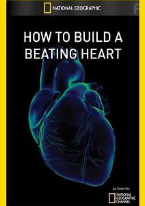 National Geographic. Как создать работающее сердце