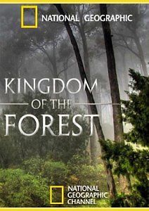 National Geographic. Лесное царство