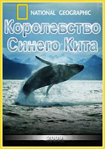 National Geographic. Мир природы. Королевство Синего Кита