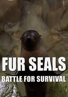 Морские котики: битва за выживание