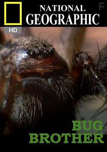 National Geographic: Наши невидимые спутники