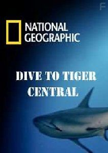 National Geographic: Погружение в царство тигровых акул
