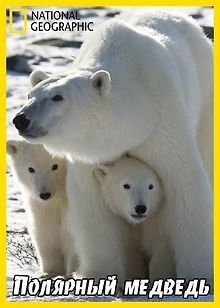 National Geographic: Полярный медведь