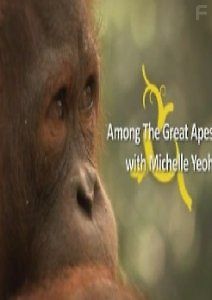 National Geographic. Спасение орангутангов