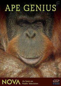 National Geographic. Способности обезьян