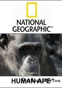 National Geographic: Умнее обезьяны...?