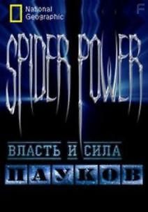National Geographic: Власть и сила пауков