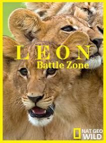 National Geographic. Война львов