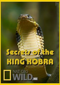 National Geographic: Загадки королевской кобры