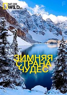 Зимняя страна чудес