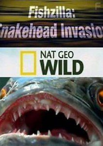 National Geographic: Змееголовый монстр