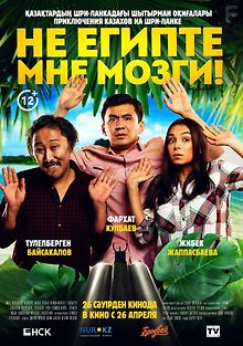 Не египте мне мозги!