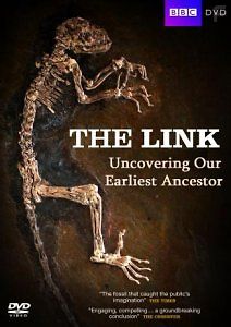 Недостающее звено. В поисках наших далеких предков