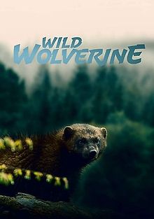 Неистовая росомаха