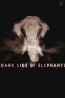 Неизвестная сторона слонов