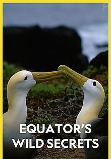 Необычная природа экватора
