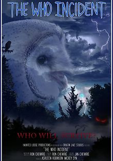 Неопознанный инцидент