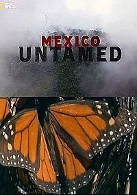 Непокорная Мексика